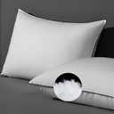 DWR Cloud-Like Luxury Feathers Down Pillows Set of 2, Soft & Fluffy Support with 100% Organic Cotton Cover, Ideal for Back & Stomach Sleepers  Not for Firm Pillow Lovers (20"x30") (Queen (Pack of 2), White)
