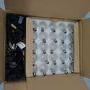 Deneve Globe String Lights with G40 Bulbs (25ft.)