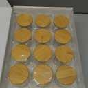 12 Pcs Glass Spice Jars With Bamboo Airtight Lids, 8oz Thicken(2.4mm) Spice Containers With 148 Minimalist Preprinted Waterproof Spice Labels, Kitchen Empty Small Storage Jars For Seasoning, Herb