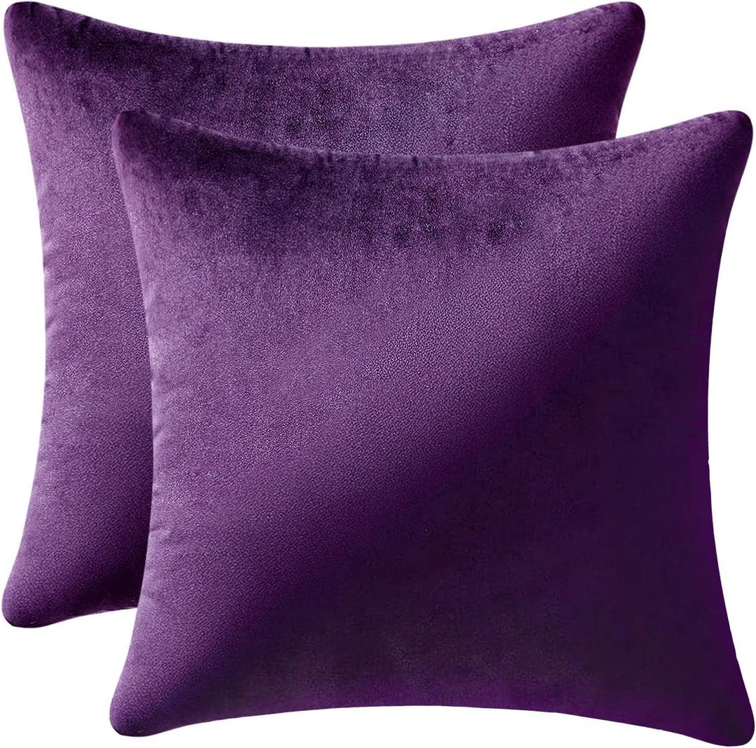 MIULEE Pack of 2, Velvet Soft Solid Decorative Square Throw Pillow Covers Set Cushion Cases Pillowcases for Sofa Bedroom Car18 x 18 Inch 45 x 45 Cm (18" x 18" (Pack of 2), Eggplant Purple)