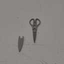 WSTHOF Kitchen Scissors 8" Overall Length, Grey