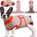 Kuoser Recovery Suit for Dogs Cats After Surgery, Professional Pet Recovery Shirt Dog Abdominal Wounds Bandages, Substitute E-Collar & Cone,Prevent Licking Dog Onesies Pet Surgery Recovery Suit (M (Back:13.4-16.1'', Weight:14-25 LB))