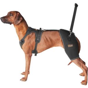 CHAMIN Dog Hip Brace with Back Handheld Design, Support for Hip Dysplasia, Arthritis, Back Leg Limping, Reduce Hip Pain & Accelerated Recovery After Surgery etc(Large)