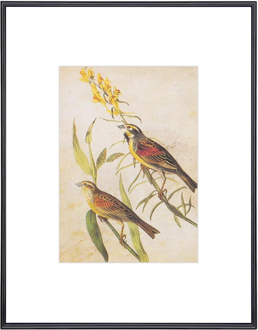 8.5x11 Picture Frame, Black Modern Thin Aluminum Metal Photo Frame with HD Glass, Fits 5x7 with Mat or 8.5 x 11 without Mat, for Tabletop and Wall Mounting, 1 Pack