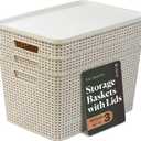 3 x BINO | Plastic Storage Baskets with Lids, 22 Liter - 3 Pack, Natural | THE WOVEN COLLECTION | Storage Basket for Shelves | Woven Storage Baskets for Organizing Bins | Pantry Shelf Organizer Bin