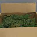 Janinka 40 Pcs Artificial Boston Fern Plants Fake Boston Fern Stems UV Resistant Faux Plants Artificial Outdoor Plastic Bushes Bulk for Hanging Office Porch Window Home Decor