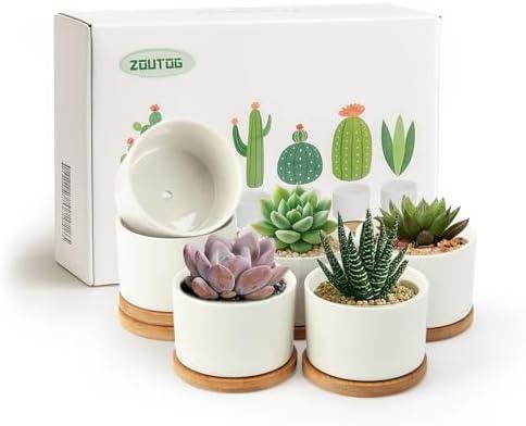 ZOUTOG Succulent Pots 3.1 Inch,6 Pack Succulent Planters, Small Pots for Plants with Drainage and Tray, White Ceramic Flower Planters for Indoor Plants, Home, Office, Desk