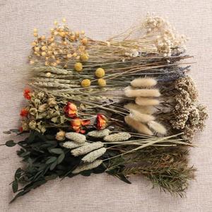 12 Kinds of Dried Flowers for Crafts Bulk DIY Natural Dried Pampas Grass Rose Lavender Babys Breath with Stems Dry Flower Bouquets with Hemp Rope Handmade DIY Ideas Home Decor Floral Arrangement (Boho Style)