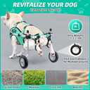 Nasjac Dog Wheelchair for Back Legs - Lightweight Portable Wheelchair with Reflective Stripes, Adjustable Pet Wheelchair Cart for Senior, Arthritis, Paralyzed, Injured, or Disabled Dogs (Green, Small)