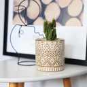 Gepege 4 Inch Small Indoor Succulent Ceramic Planter Pot with Drainage Holes and Saucers for Plants, Birthday for Women Mom (White)