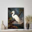 2 x Egret Bird Vintage Poster Art Print Retro Wall Art Poster Decor Nature, Avian Painting Artwork for Bedroom Living room Decor 41 (Egret, 8 x 10 inches, Unframed)