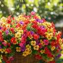 2 x LADADA 8 Pack Colorful Artificial Flowers UV Resistant for Outdoor