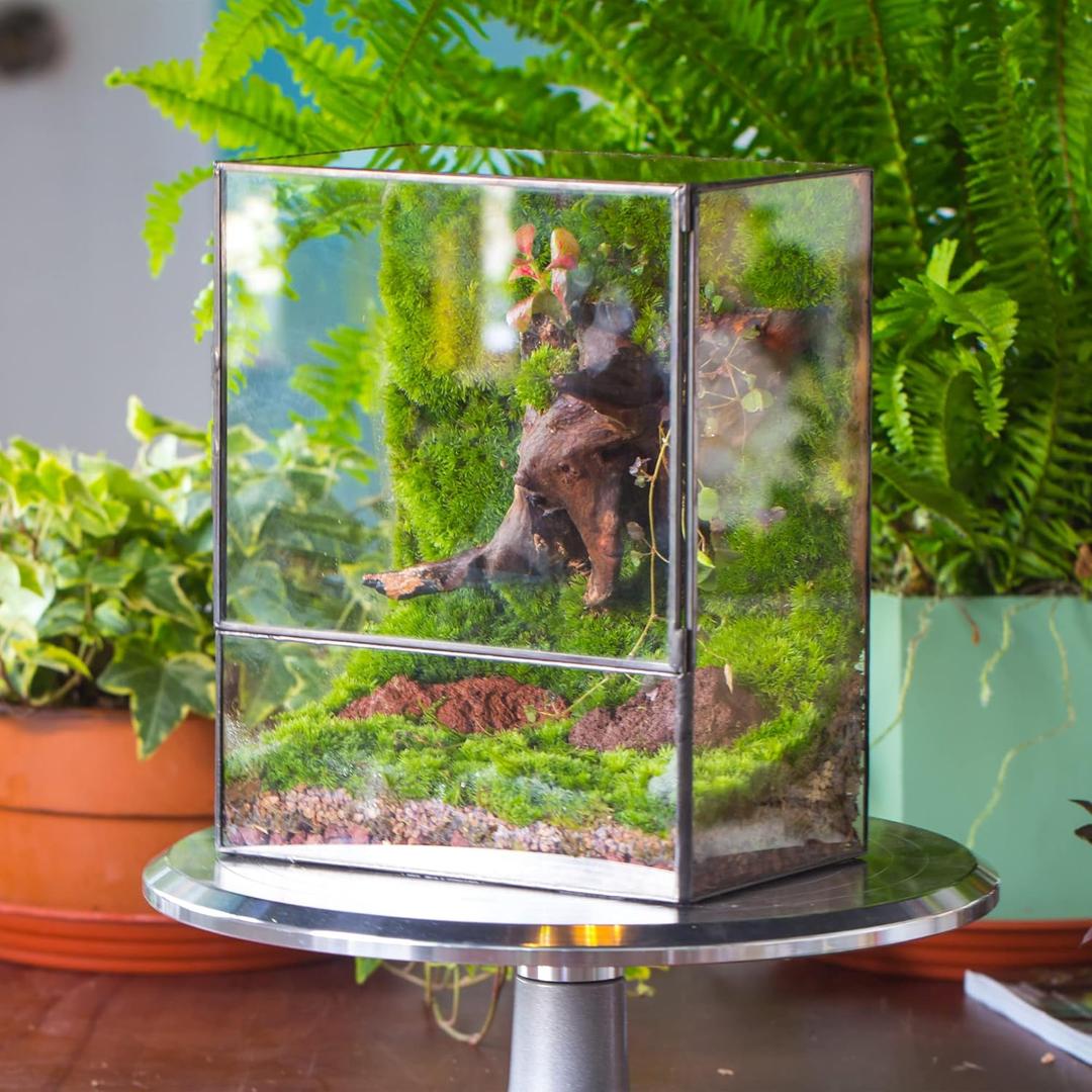NCYP Close Glass Terrarium with Door - 7.8 x 5.1 x 9.8 Inches Geometric Landscape Clear Planter for Small Tropical Plants - Indoor Tabletop Centerpiece, Garden Decor (Terrarium Only)