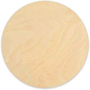 Leisure Arts Wood Circles for Crafts 12"  Unfinished Round Wooden Disc for Crafts, DIY Sign Blanks, Painting, Engraving, Wall Decor, Rustic Projects, and Home Art Displays, 1pc