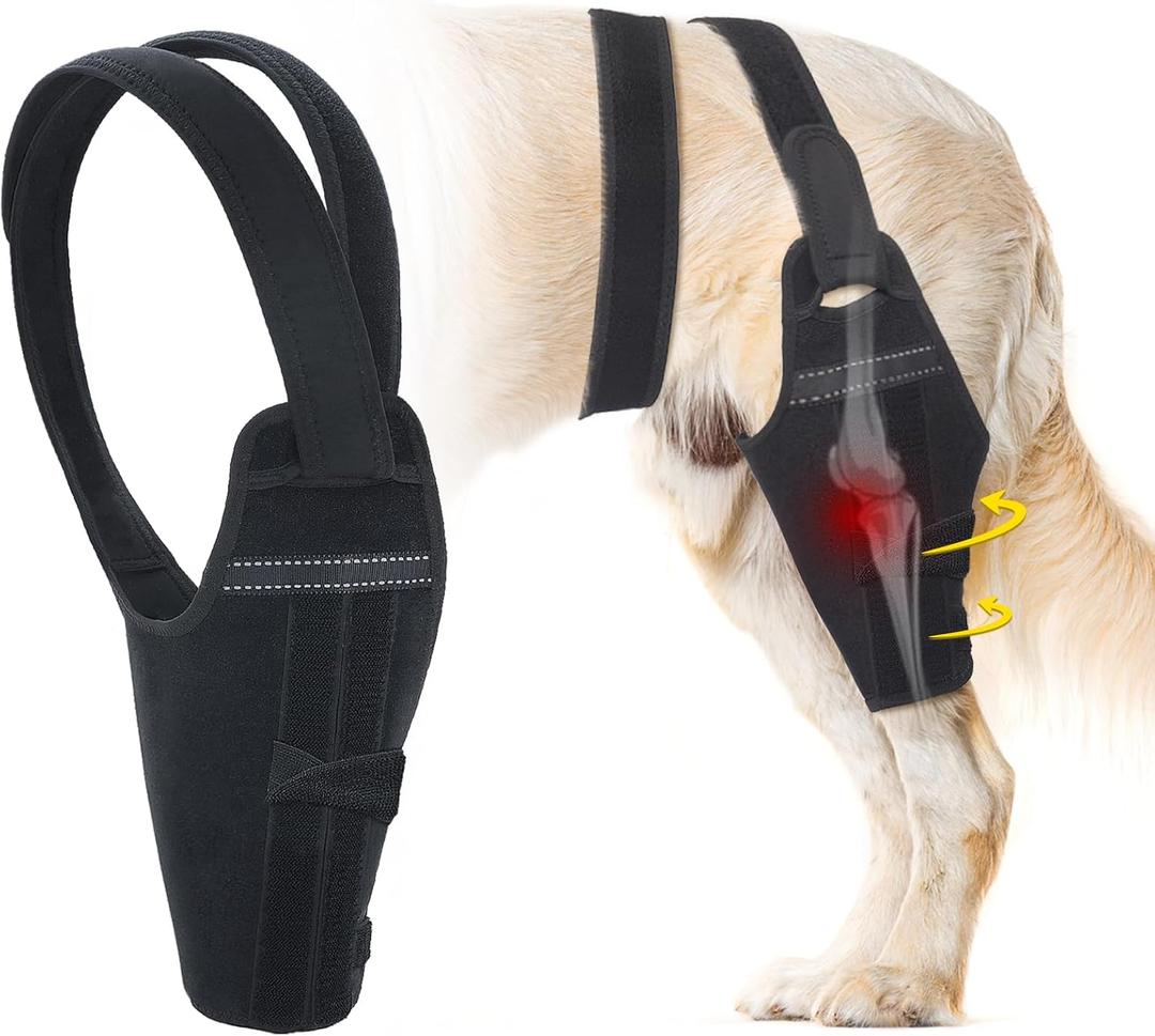 Dog Knee Brace for Back Leg Fit Large to Small Dogs Strong Support Adjustable Dog Legs Braces with 2 Metal Strips for Hip Dysplasia, ACL, CCL, Ligament Injuries & Osteoarthritis (Right Leg, M)