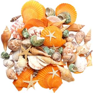 UEIEU gopiter Sea Shells - Beach Mixed Seashells - Various Size up to 2" Natural sea Shells for Crafting Fish Tank Vase Fillers Beach Theme Party Wedding Decor Home Decorations DIY Crafts (Color)