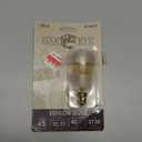 EDISON BULB 1 Bulb 40 Watt