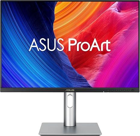 Asus ProArt Display PA248QV
