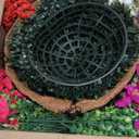 2 Set Artificial Outdoor Petunias Flowers with Hanging Baskets, 24 Pcs UV Resistant Faux Petunias Flowers with Hanging Planter for Front Door Porch Spring Outside Decor (2, RoseRed,RedViolet)