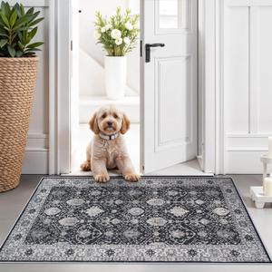 Washable 2x3 Entryway Area Rug: Vintage Soft Thin Door Mat with Non Slip Backing Water Resistant Carpet for Bedroom Low Pile Floor Mat for Kitchen Bathroom Easy Clean Rug for Family (2 X 3, Black)