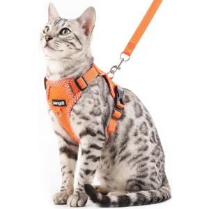 Cat Harness and Leash Escape Proof Extra Large Kitten Harness Maine Coon Cat Vest for Walking Travel, Orange, XL