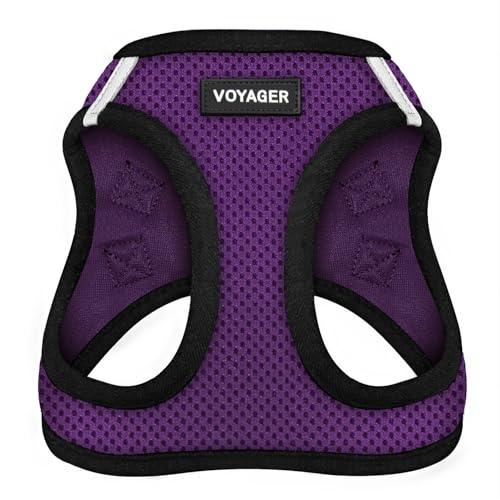 Best Pet Supplies Voyager Step-in Air Harness - All Weather Mesh, Reflective, No Pull Harness for Dogs, Cats - Secure with Hook & Loop Fastener, Buckle, Double D-Rings - Purple/Black Trim, L