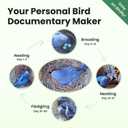 Birdfy Bird House with Camera, Solar Powered with Iron Guard for Outside, AI Identify, 1080P HD & Night Vision for Bluebird Finch Swallow Wren Chickadee Nesting Watching, Auto Detect & Notify