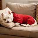 Mihachi Dog Snow Suit Dog Coat Soft Fleece Pullover Pajamas, Pet Windproof Warm Cold Weather Jacket with Zipper, Reflective Jumpsuit Apparel Outfit Clothes for Small Dog, Red S