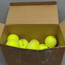 Soulchen 48 Pack Pressureless Tennis Balls Inspirational Training Tennis Balls Bulk Coach Beginner Practice Supplies Pet Dog Toys Indoor Outdoor