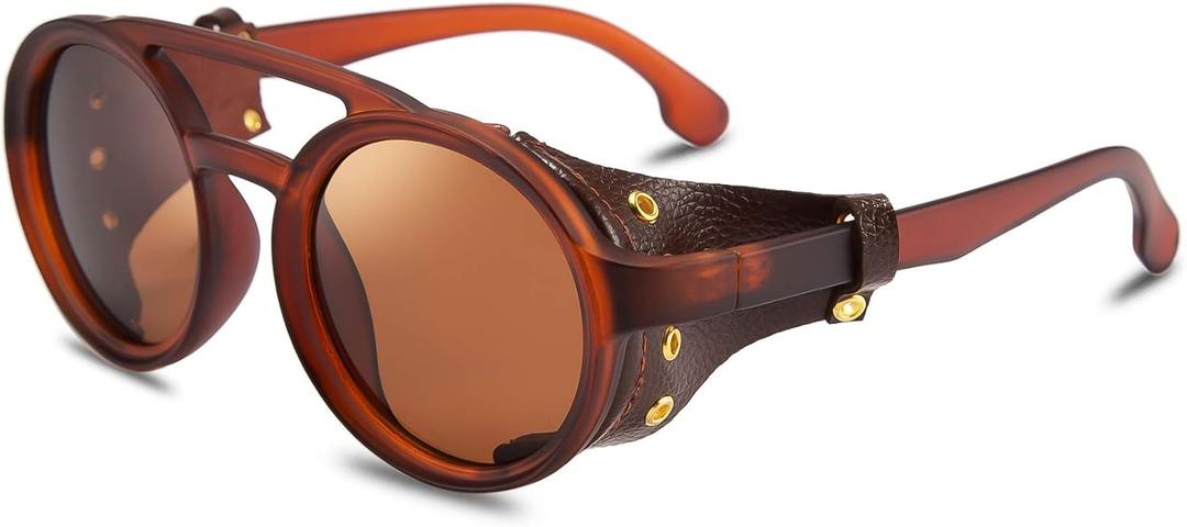 FEISEDY Retro Round Steampunk Sunglasses Women Men Vintage Eyewear Light Plastic Frame with Leatherwear B2532 (Brown)