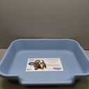 KittyGoHere Senior Cat Litter Box 1 Pack, Large Blue Low Entrance Kitty Litter Box, Sized for Cats Comfort, Perfect for Senior and Arthritic Cats, Made in USA