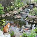 Pond Cover Net 10.5x10.5 FT Pond Dome with Support Rope Leaf Net Ground Studs for Pond and Garden