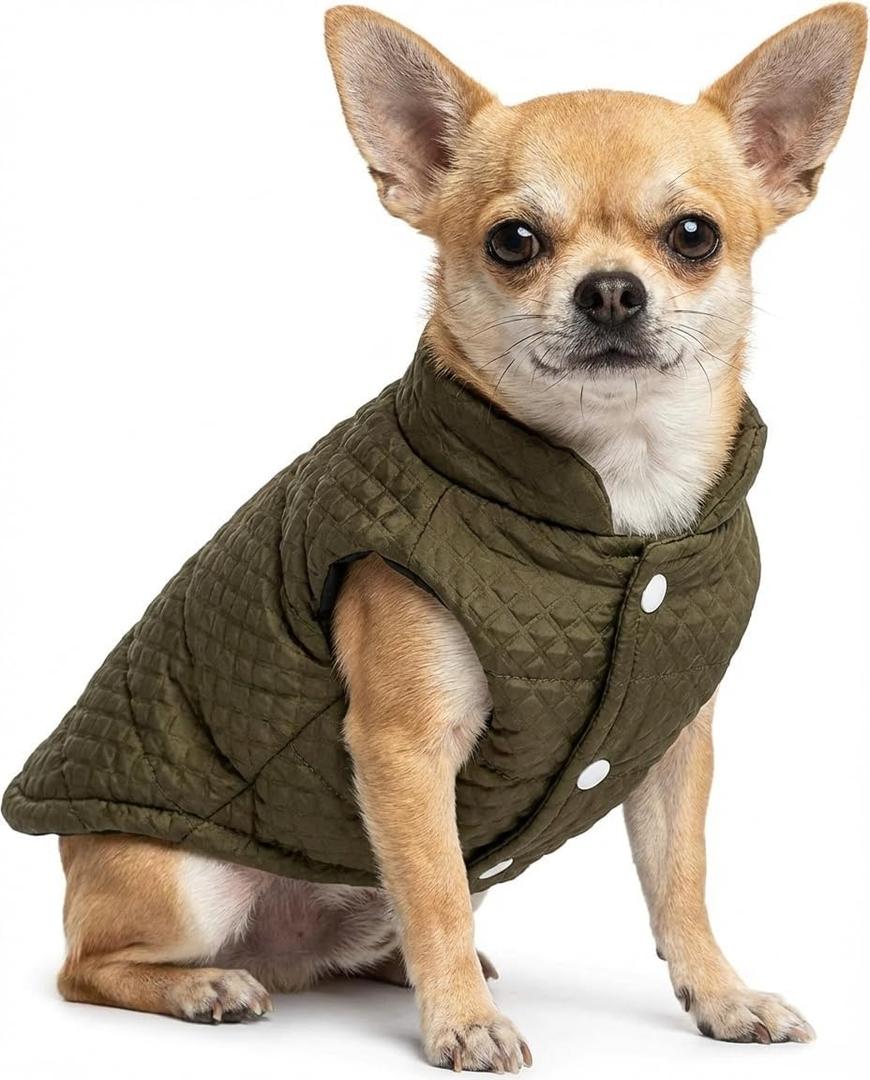 Soft Warm Small Dog Coats Lightweight Pet Dog Winter Jackets for Small Medium Dogs Puppy Cold Weather Coat Pet Clothes, Green, Medium