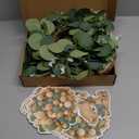 6 Set Baby Shower Bear Table Centerpieces Decortion Sage Green Bear with Eucalyptus Wreath Wood Slices Welcome Baby Table Toppers for Boy Or Girl Gender Reveal Party Favors