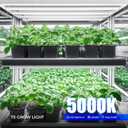 Barrina T5 Grow Lights for Indoor Plants, 3FT 128W (8 X 16W) Full Spectrum Grow Light with Separate Switch, Linkable Grow Lamp, Indoor Plant Lights for Growth, Plug and Play, 5000K, 8 Packs