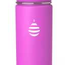 Clearly Filtered Water Bottle | Removes 220+ Contaminants, Double-Wall Insulated Stainless Steel, BPA/BPS Free, Phthalate Free, Filters Flouride Lead Chlorine (16oz, Purple Dino)