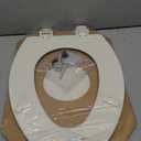 Bemis 1500EC Durable Wood Toilet Seat with Easy Clean Hinges, Made in USA, Elongated, Biscuit