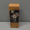 Reed Diffuser Set, White Jasmine Scented Oil with Dried Flowers, 6.09 Fl Oz(180ml) Long Lasting Air Freshener with Diffuser Sticks, Home Fragrance for Office Bathroom Decor