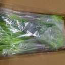 40 Bundles Artificial Grass Plants for Outdoors, UV Resistant Fake Grass Plant Decor, Faux Grasses for Outdoor Planters, Polyethylene Fake Ornamental Grasses for Garden/Porch/Window Box