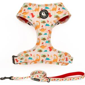 Dog Harness and Leash Set, Adjustable Dog Harness, Dog Leash, No Pull No Choke Puppy Harnesses for Walking Training for Small Medium Pet  S(Chest 13 - 19", Neck 9.5 - 13.1")