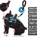 Service Dog Harness (Medium, Light Blue) with Reflective Strips, Leash, and 10 Patches, for Dog Training and Walking