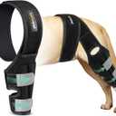 Dog Knee Brace for Torn ACL Hind Leg, ACL Brace for Dogs Rear Leg, with Side Stabilizers Strong Support to Reduce Joint Pain and Muscle Sore for Back Leg (XS)