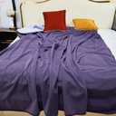 Waterproof Blanket for Bed Couch Sofa, 60"x80" Reversible & Washable, Waterproof Blanket Queen Size, Water Resistant Twin Bed Blankets, Leakproof (Deep Purple/Light Purple)