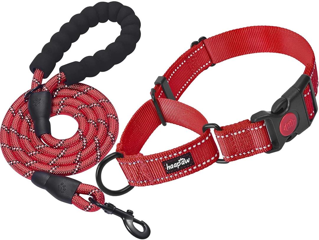 haapaw 2 Packs Martingale Dog Collar with Quick Release Buckle Reflective Dog Training Collars for Small Medium Large Dogs,Size: L-Martingale collar