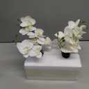 Oairse White Orchids Artificial Flowers Faux Orchid Arrangement with Black Glass Vase Set of 2 Real Touch Phalaenopsis Orchid Flowers Orchid Centerpiece for Dining Room Table