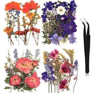 Nuanchu Dried Flower for Crafts Resin Pressed Flowers Bulk Dried Wildflowers Leave Natural with Tweezer for Resin Mold Scrapbooking Nail Soap Candle Making Cake Decorating DIY Christmas Craft Supplies (multi Color)