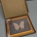 Gold Framed Wall Art Vintage Butterfly Canvas Wall Art White Butterfly Moody Insect Artwork Prints Picture for Living Room Bedroom Farmhouse Bathroom Office Decor, 8x10