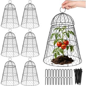 6 Pcs Garden Cloches for Plants, Metal Garden Chicken Wire Cloche, Rustproof Plant Protector Cover, Garden Netting Plant Protectors from Animals to Keep Squirrels, Rabbits, Birds & Chickens Out