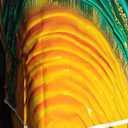 CSFOTO 7x5ft Indian Ceremony Backdrop for Photography Puja Ganpati Backdrop Indian Wedding Bridal Shower Party Marigold Wreath Photo Prop Happy Holi Diwali Pooja Party Decor, Clear