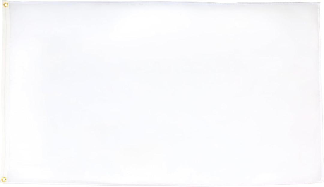 AZ FLAG - Plain White Flag - Large 5x8 Ft - 100D Polyester White Solid Color Big Banner with Two Metal Grommets - Fade Resistant - Vivid Colors - 5' x 8' Feet - 250x150 Cm